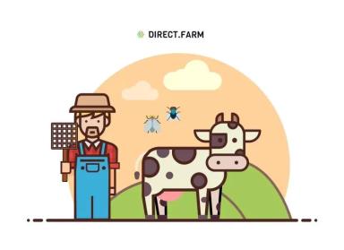 Мухи на ферме - меры борьбы