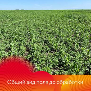Фултайм® в Приморье