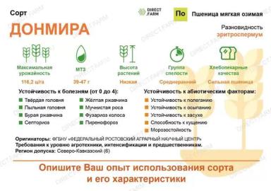 Донмира сорт озимой пшеницы