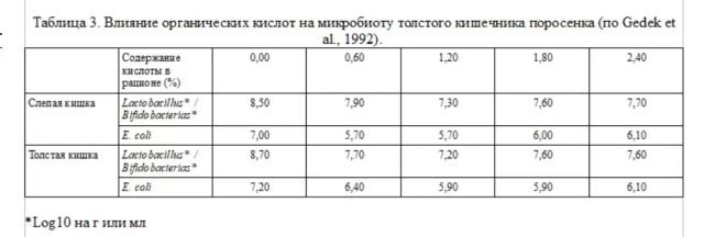 Подкислители: роль в здоровье кишечника поросят