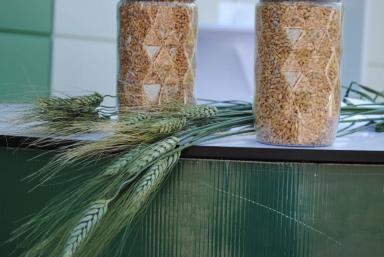 Качество определяет успех: стратегии производства твёрдой пшеницы сегодня