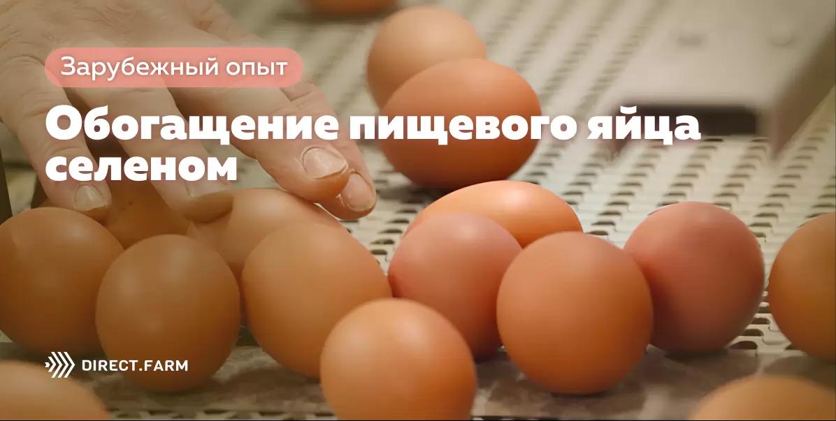 Обогащение пищевого яйца селеном