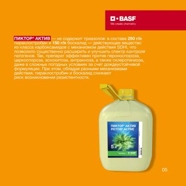 Фунгицидная защита сои с BASF