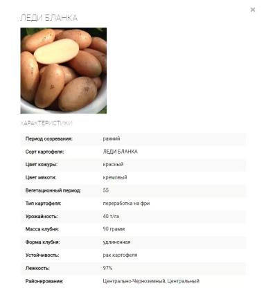 Леди Бланка