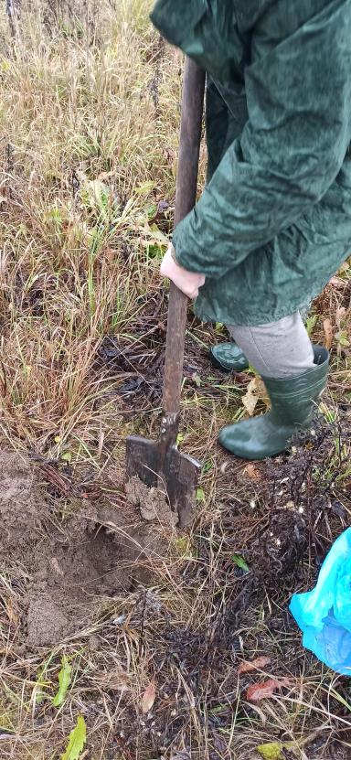 В поисках земли.