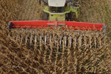 Безрядковые жатки: преимущества и особенности выбора...