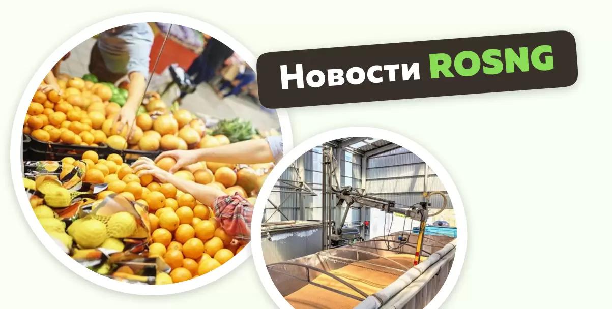 Обзор новостей за 25 декабря