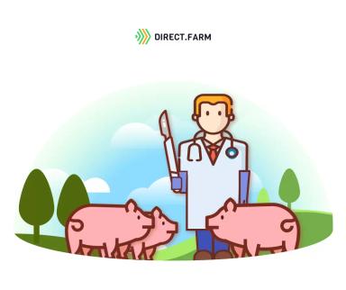 Способы хирургической кастрации хрячков