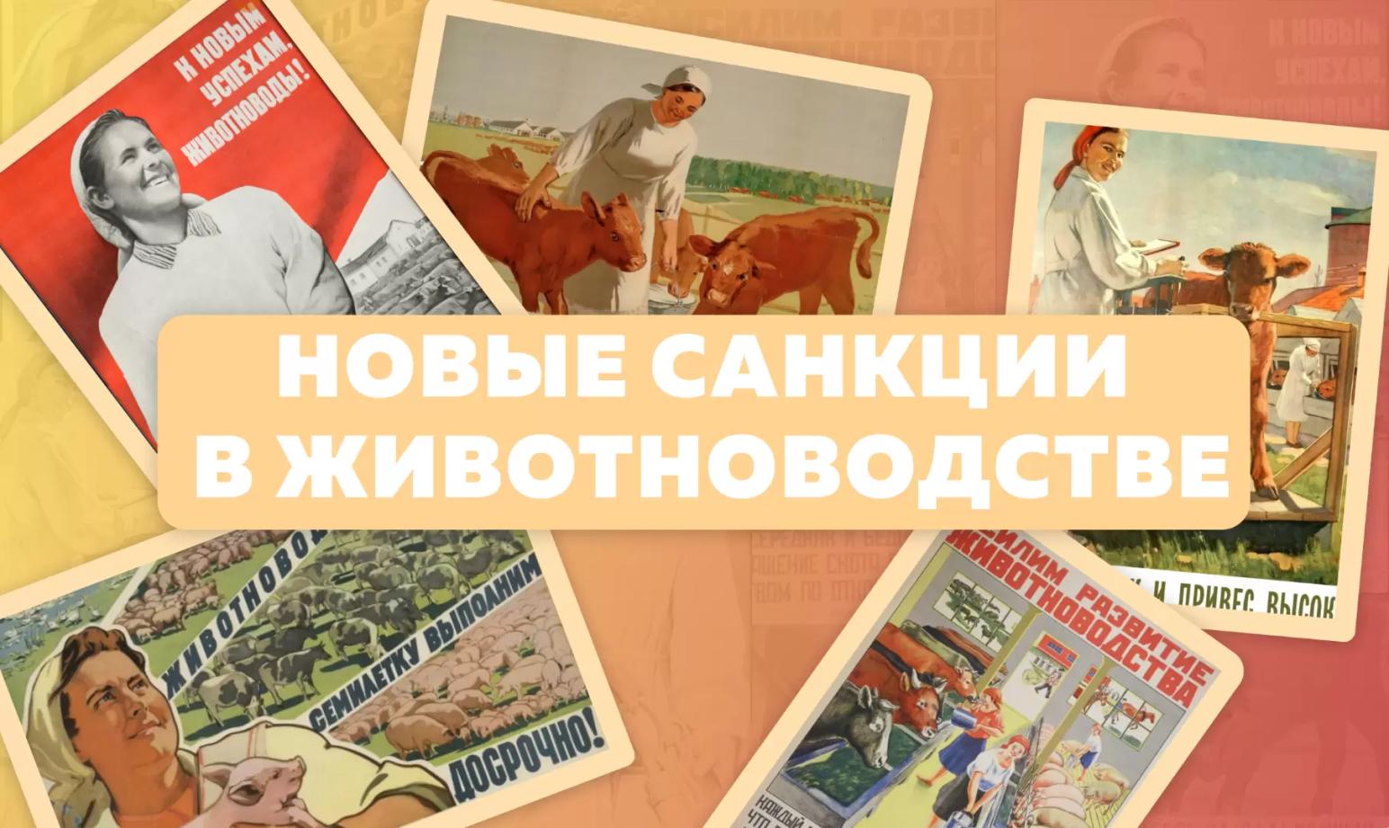 О чём молчат животноводы?