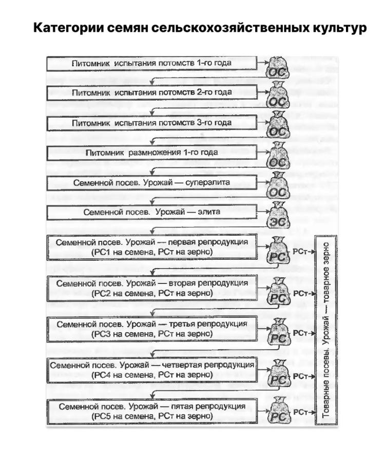 Категория семян