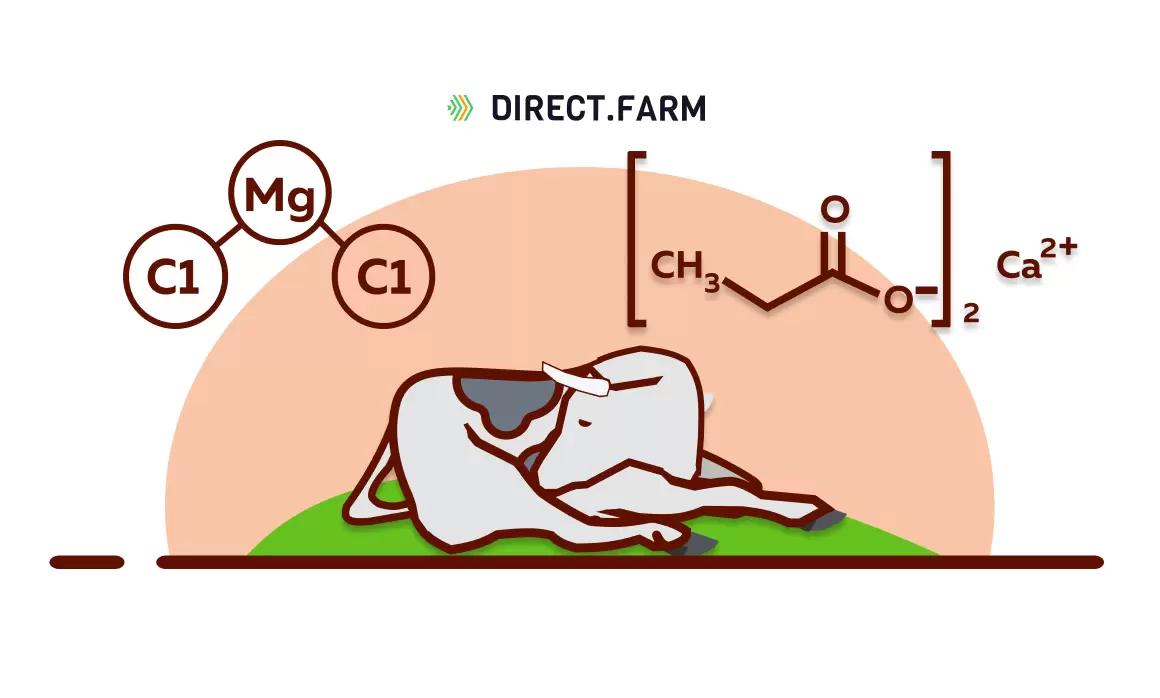 Какие соли применять при гипокальциемии?