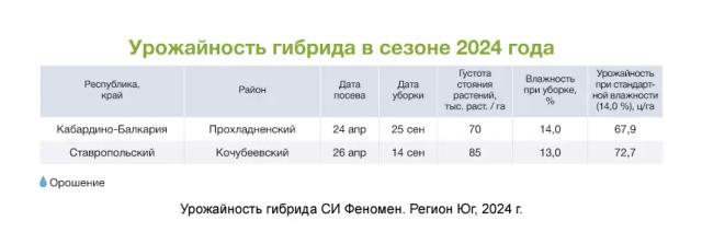 АРТЕЗИАН™: подберите свой идеальный гибрид кукурузы
