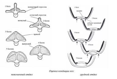 Харвуд – "Ветеринарное руководство по здоровью и благополучию коз". Глава 2.