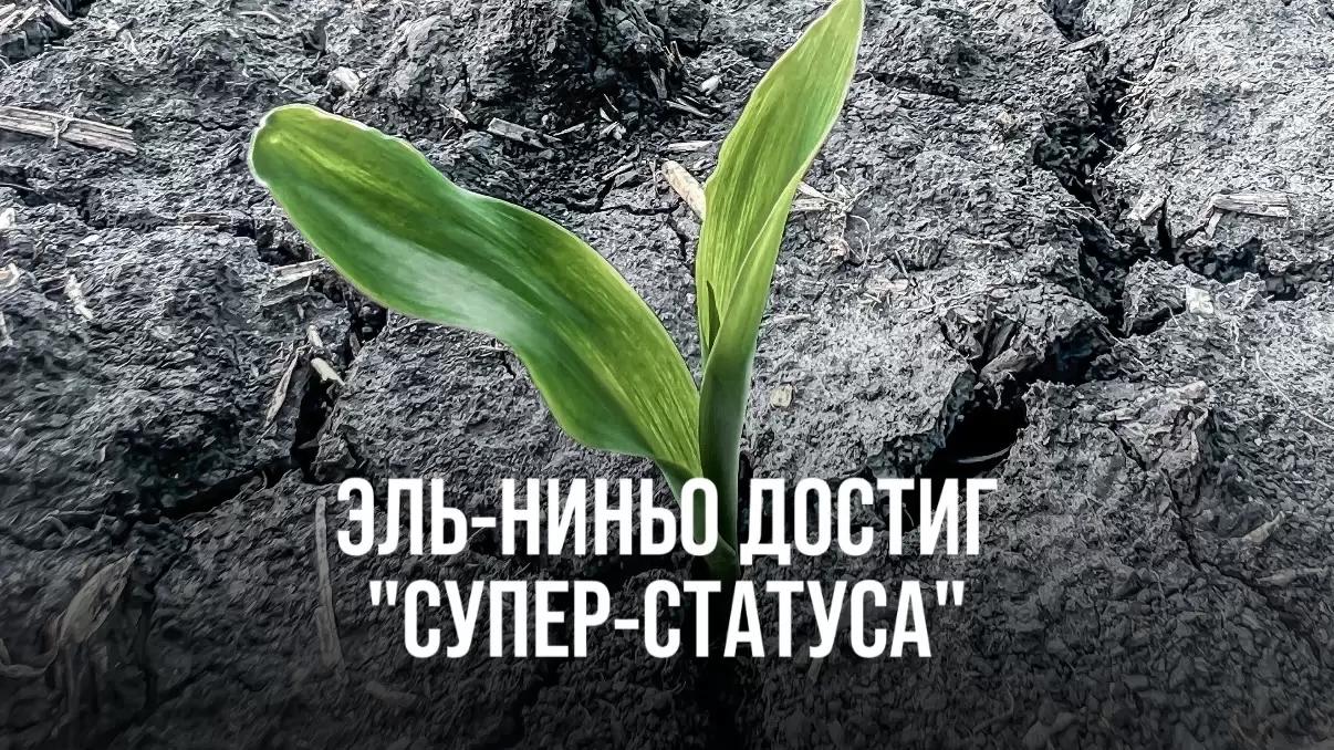 ЭЛЬ-НИНЬО ДОСТИГ "СУПЕР-СТАТУСА"