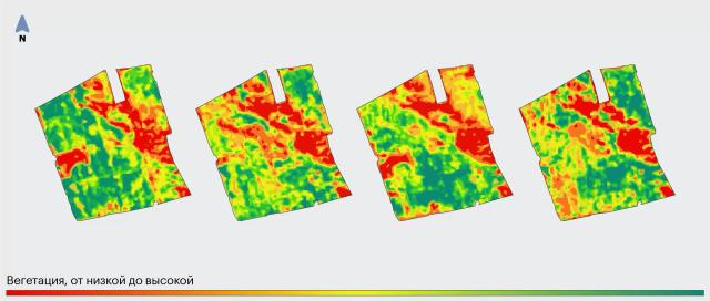 Дифвнесение удобрений на озимой пшенице: стоит пробовать?