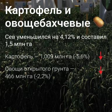 🗺️ Посевные площади в России сократились на 1,2%: данные Росстата