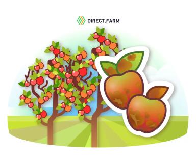 Луна Транквилити – опыт применения фунгицида