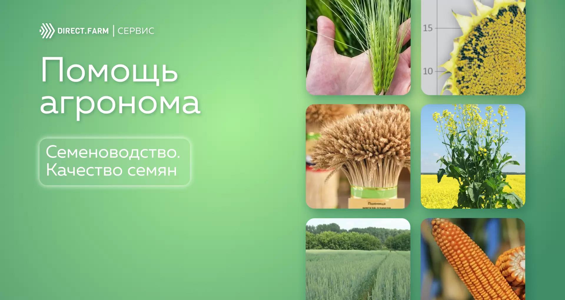 Ответы на вопросы по Семеноводству. Качество семян