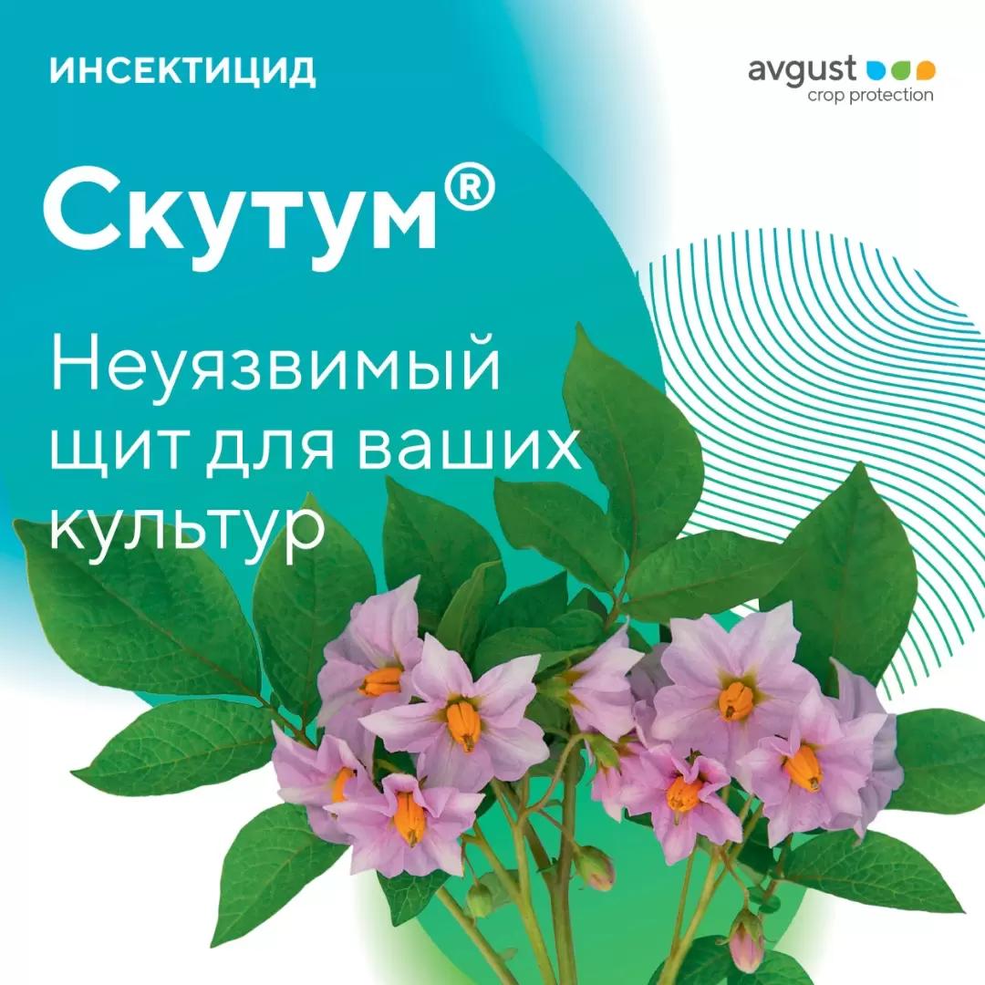 Мощная защита картофеля и пшеницы от вредителей