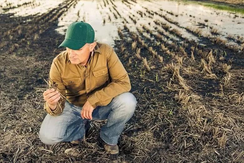 Обзор новостей за 30 мая