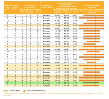 Сумико (SUMIKO) гибрид подсолнечника