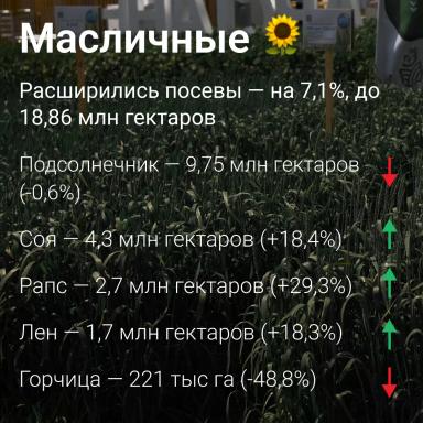 🗺️ Посевные площади в России сократились на 1,2%: данные Росстата
