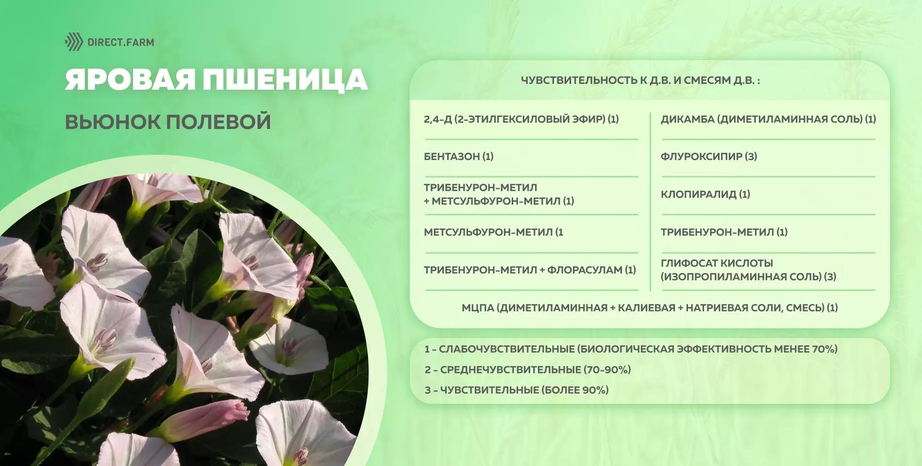 Шпаргалка чувствительности вьюнка полевого к д.в. гербицидов