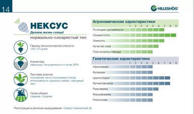 НЕКСУС