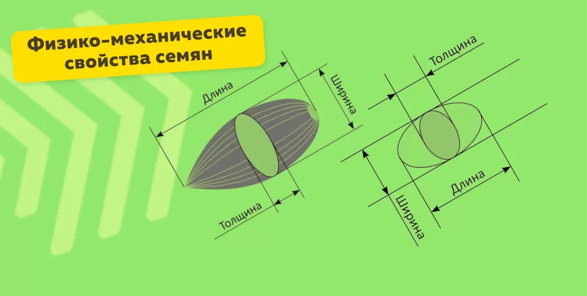 Физико-механические свойства семян