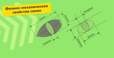 Физико-механические свойства семян