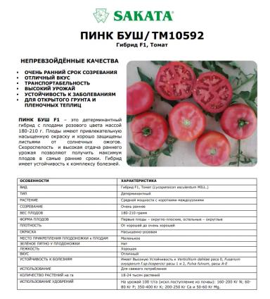 Пинк Буш F1  (PINK BUSH)