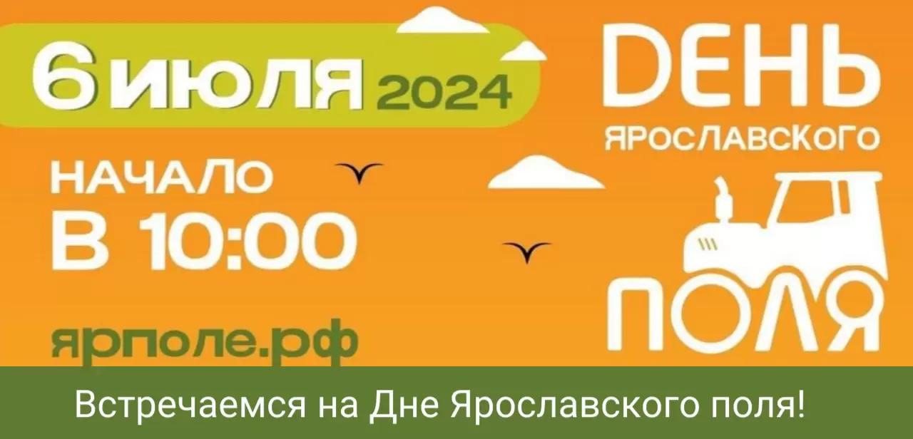 Увидимся на Дне Ярославского поля!
