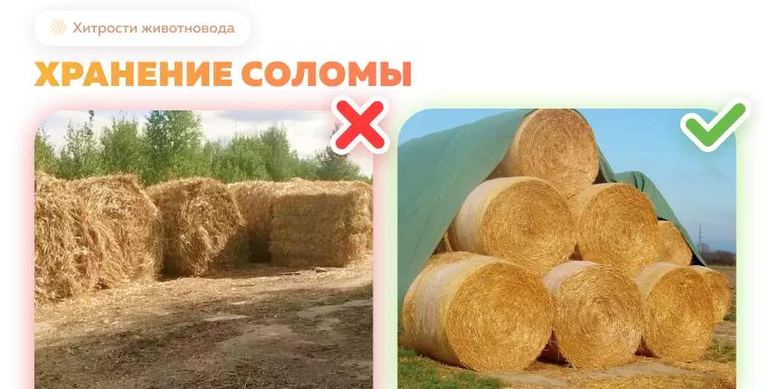 Хранение соломы