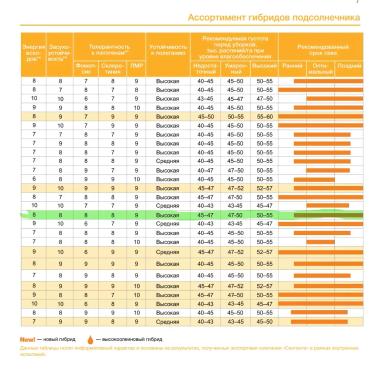 НК Фортими (NK FORTIMI) гибрид подсолнечника