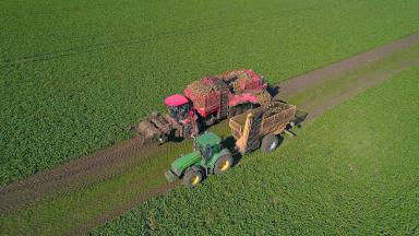 Точный сев - залог отличного урожая. Свеклоуборочный комбайн Holmer Terra Dos T4