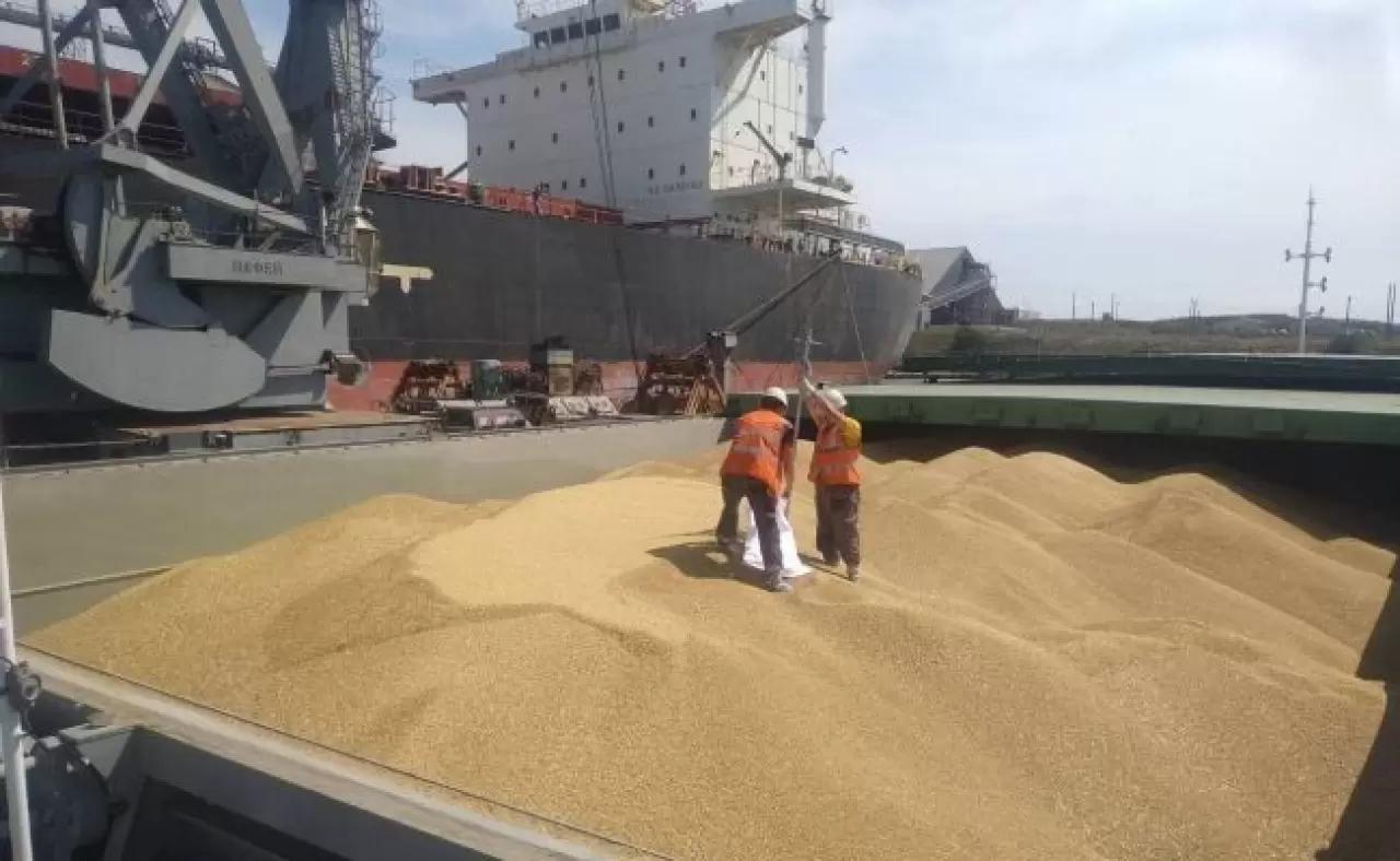 РФ приостановит участие в зерновой сделке при отсутствии дальнейшего прогресса