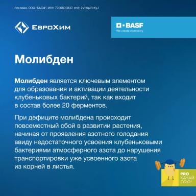 PROкачай сою! Признаки дефицита элементов питания при возделывании сои