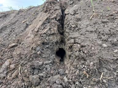 Заливают дожди, тонет урожай? Есть решение!