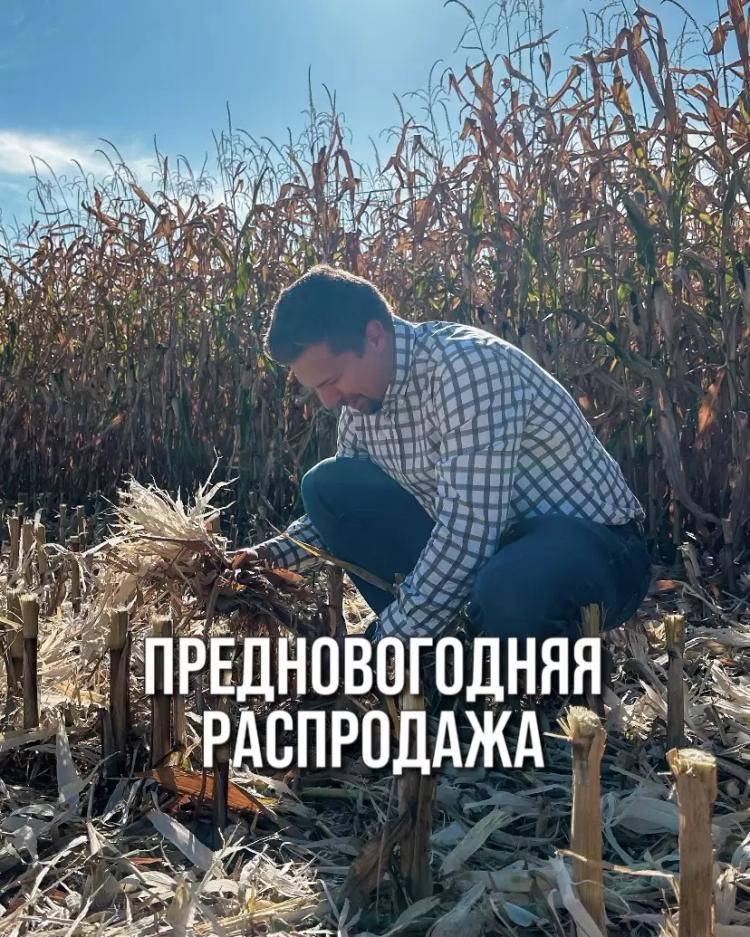 🎄 ПРЕДНОВОГОДНЯЯ РАСПРОДАЖА 🥳