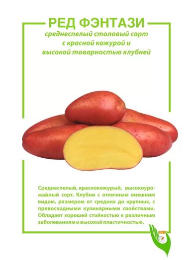 Ред Фэнтази