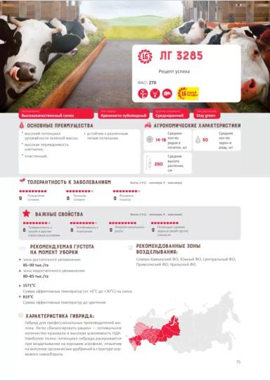 ЛГ 3285 гибрид кукурузы Лимагрейн