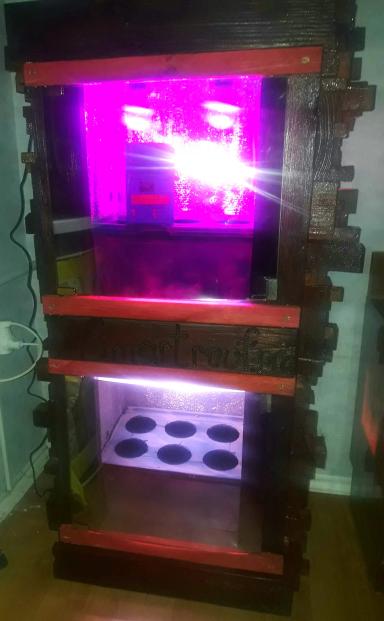 В этот раз не о рыбе. Но и не без даров морских, никак не обойтись.