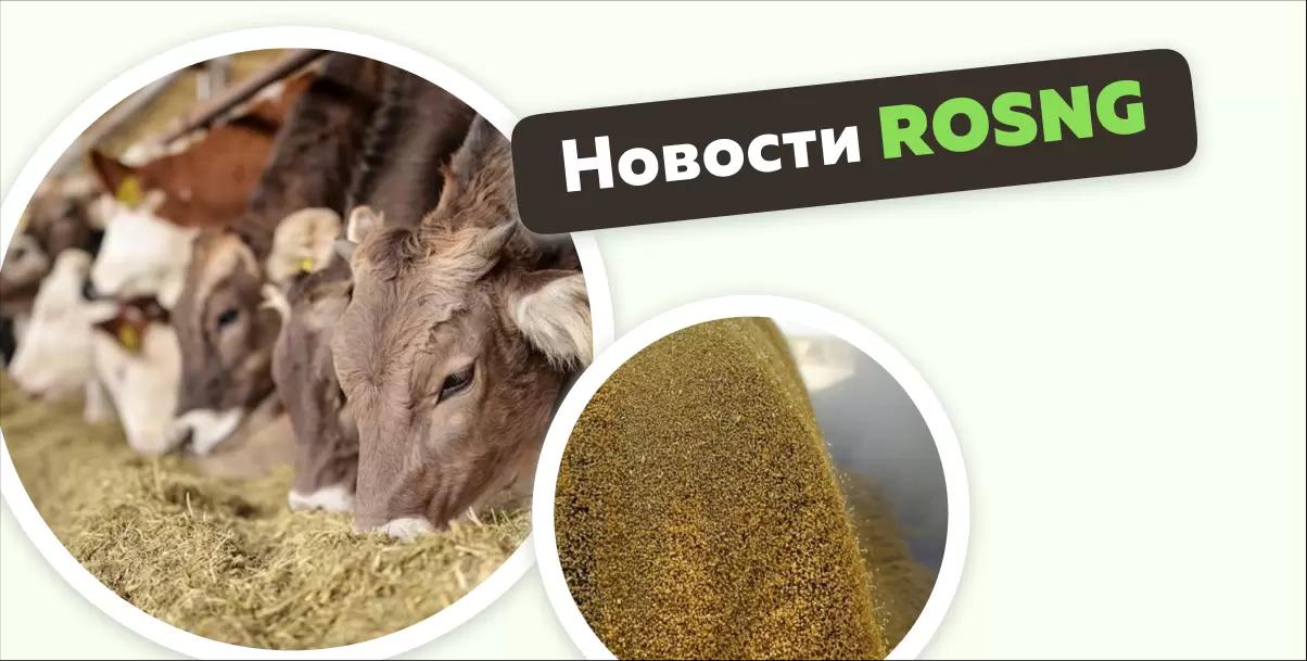 Обзор новостей за 19 сентября