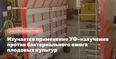 УФ-излучение для борьбы с патогенами в садоводстве и виноградарстве