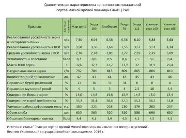 Сорта яровой пшеницы Самарского научного центра
