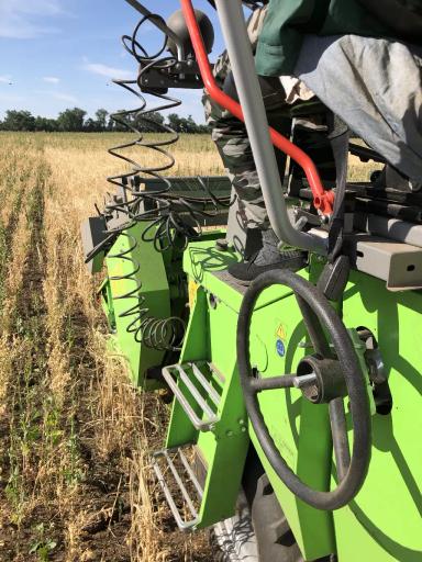 УСОВЕРШЕНСТВОВАННЫЕ ЭЛЕМЕНТЫ ТЕХНОЛОГИИ ВОЗДЕЛЫВАНИЯ НУТА ДЛЯ УСЛОВИЙ СУХОСТЕПИ