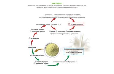 Использование сорбента микотоксинов в кормлении коров