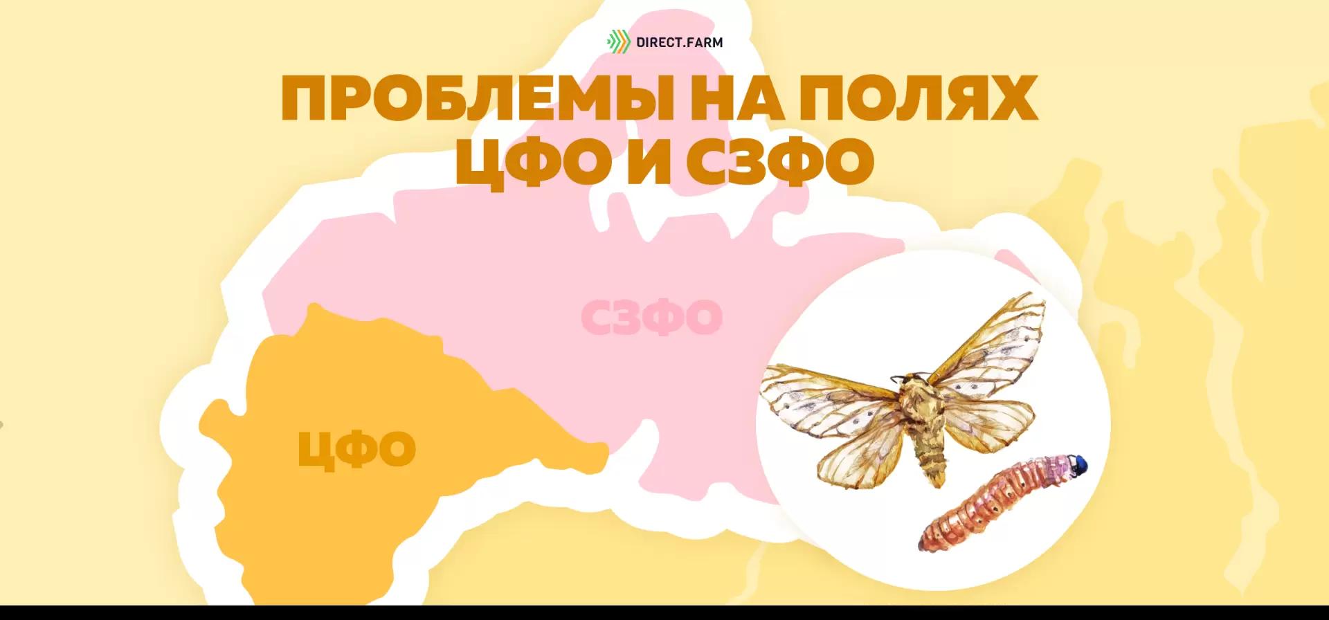 Угроза: Стеблевой кукурузный мотылек