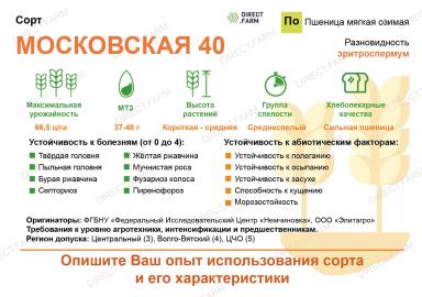 Московская 40 ® сорт мягкой озимой пшеницы
