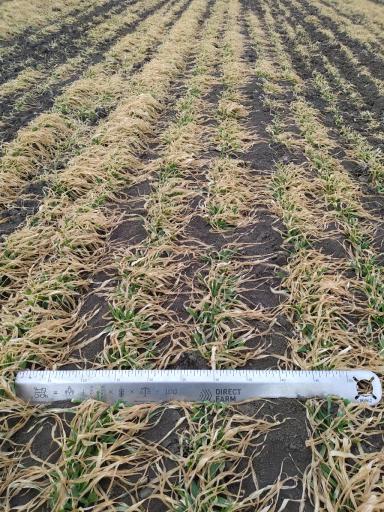 Спасибо Direct. Farm за викторину 🙂